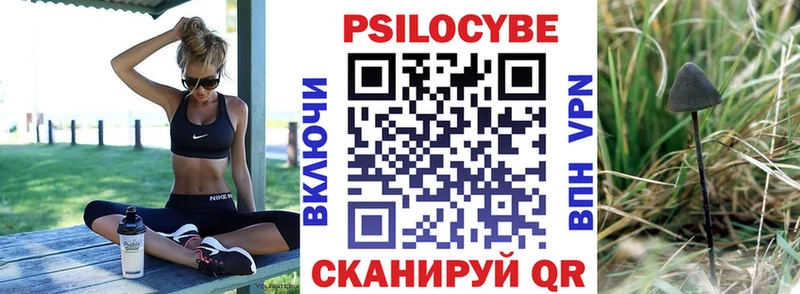 Псилоцибиновые грибы Psilocybe где купить наркоту Камешково